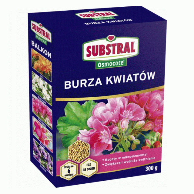 burza kwiatów4